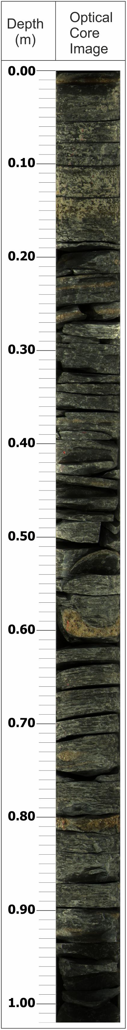 www.frontiersin.org