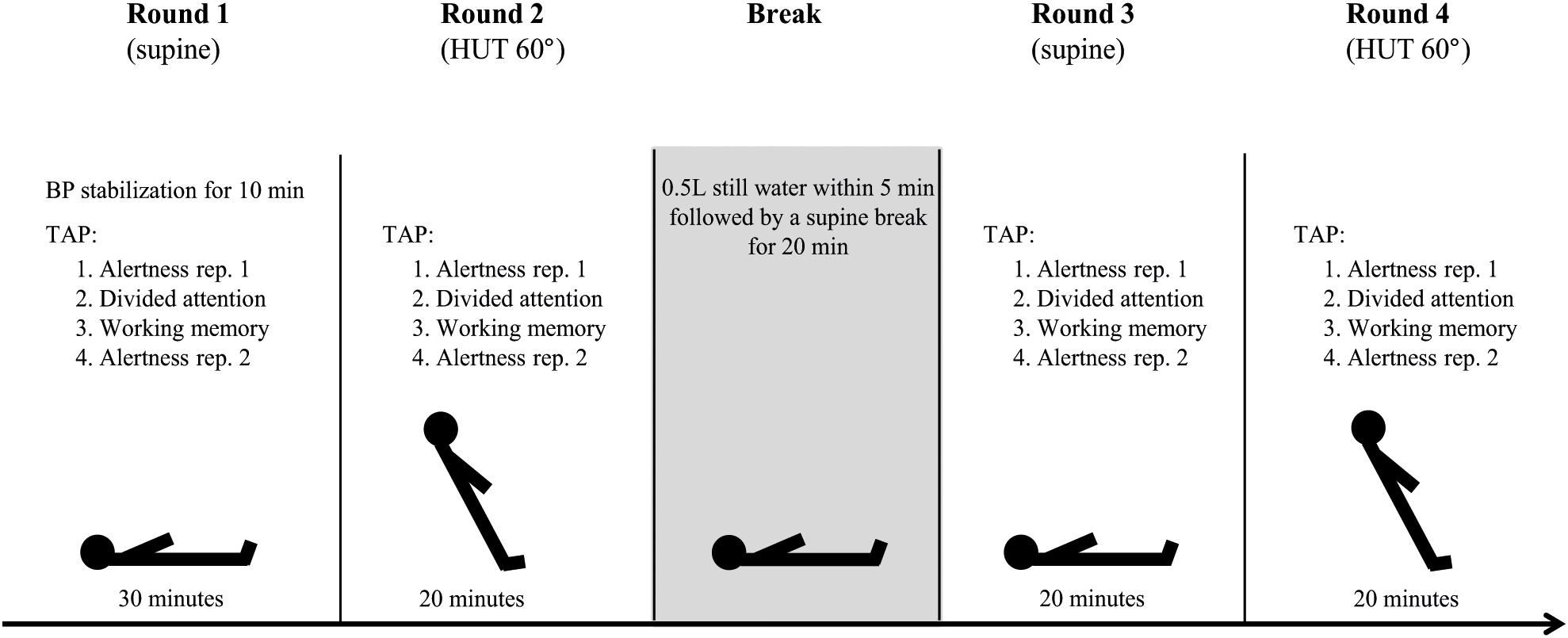 Postural orthostatic tachycardia syndrome (POTS) results in a sustained  increase in heart rate of at least 30 beats per minute in adults