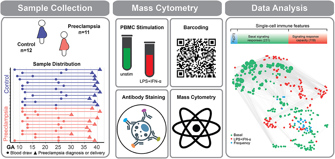 Sample collections. Mass Cytometry. Преэклампсия диаграммы. Кровь PBMC схема. Collect fetch deliver.