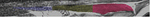 www.frontiersin.org