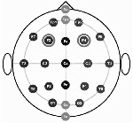 www.frontiersin.org