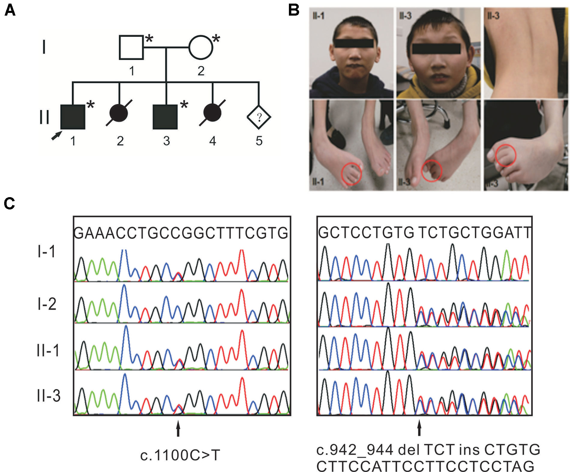 dna sequencing sequencher heterozygous mutations dna sequencing sequencher heterozygous mutations
