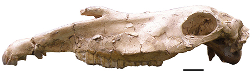 www.frontiersin.org