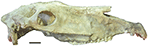 www.frontiersin.org