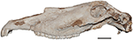 www.frontiersin.org