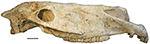 www.frontiersin.org