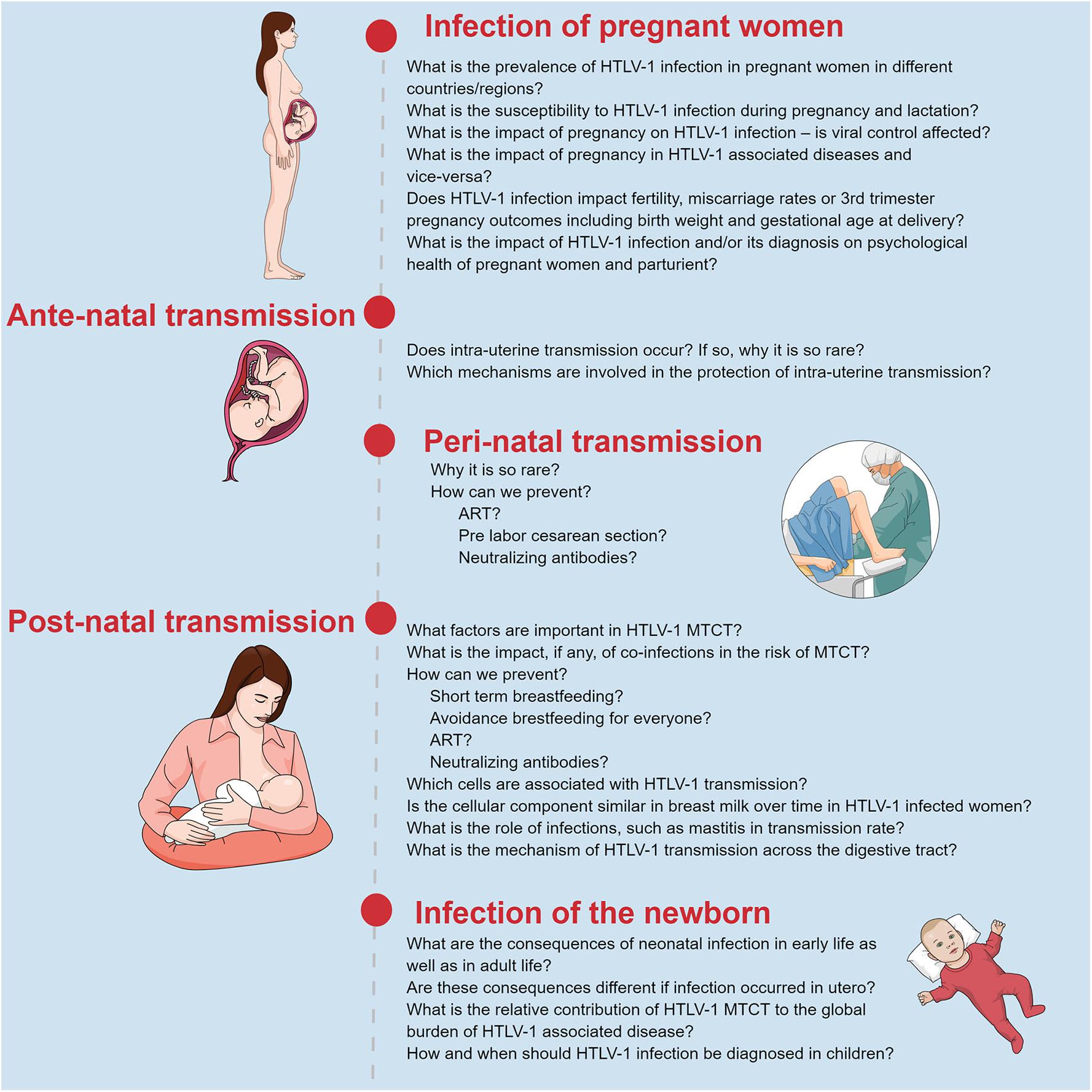 Frontiers - Mother-to-Child HTLV-1 Transmission: Unmet Research Needs