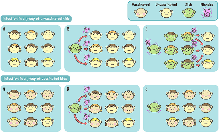 Figure 1 - Herd protection.