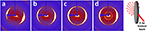 www.frontiersin.org