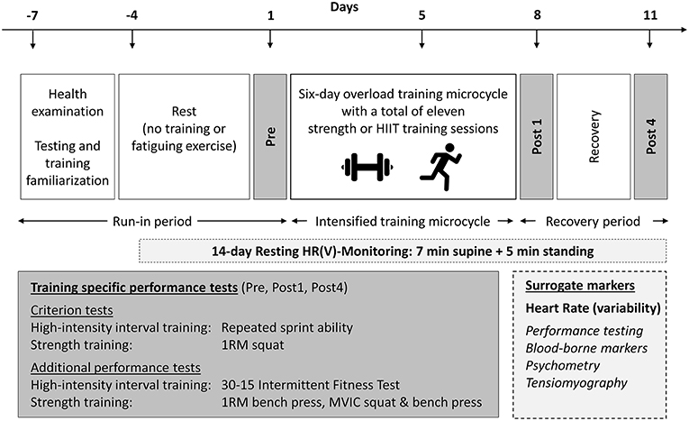 polar beat interval training