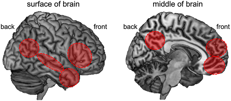 Why does the mind arise from our brain?