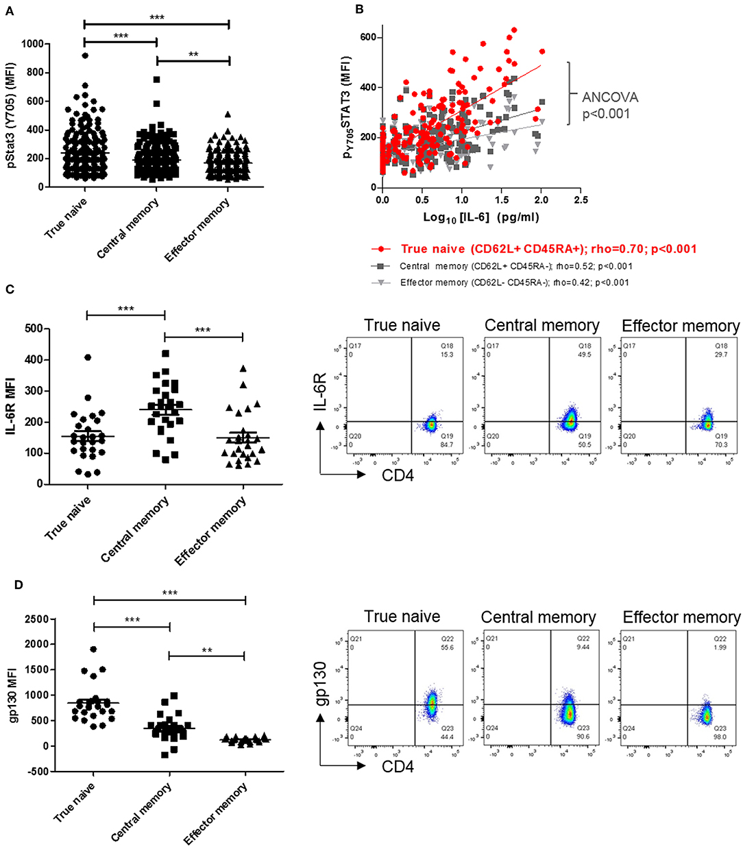 Cd3 antibody biolegend il6