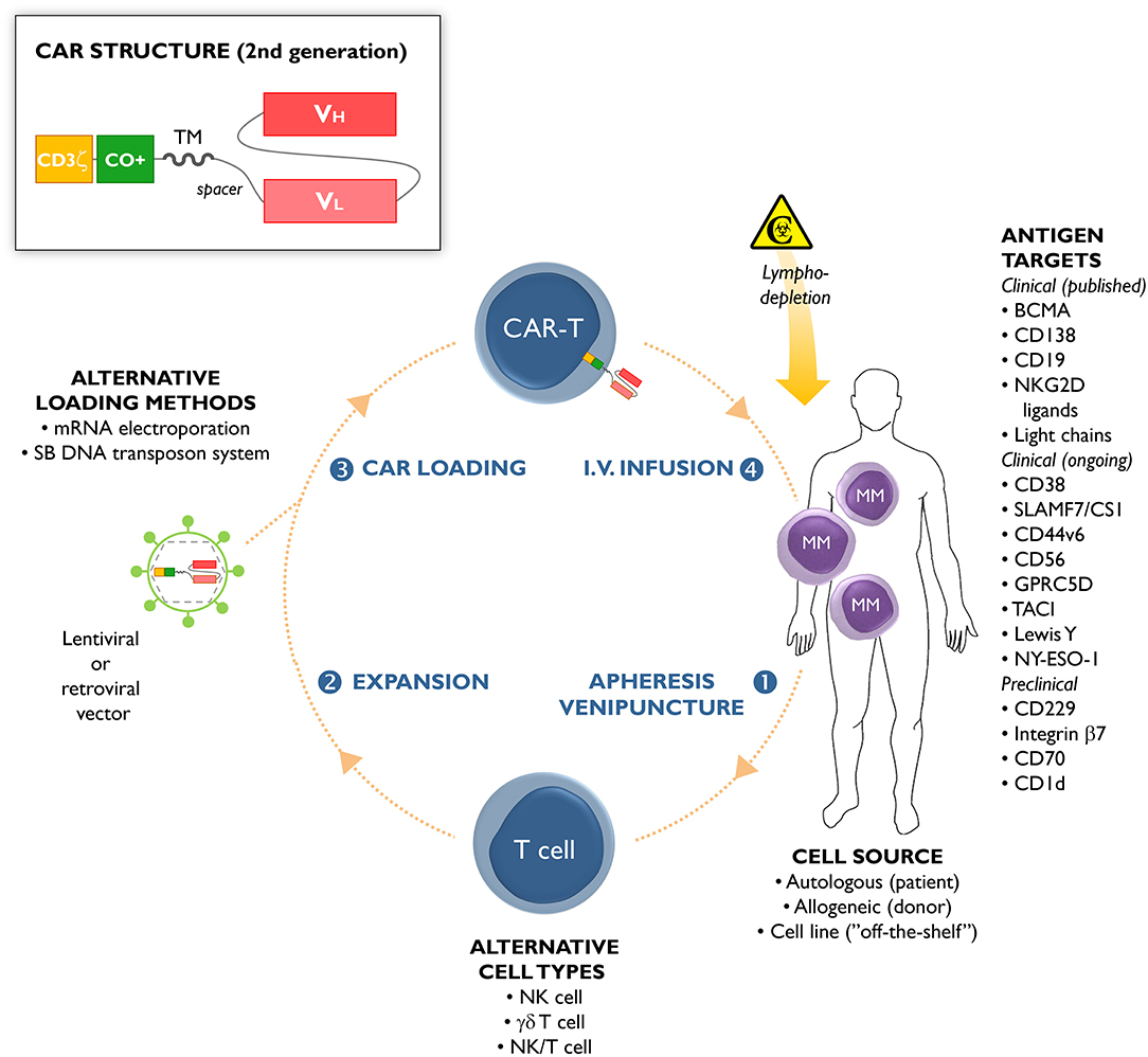 what does chemo do to mesothelioma