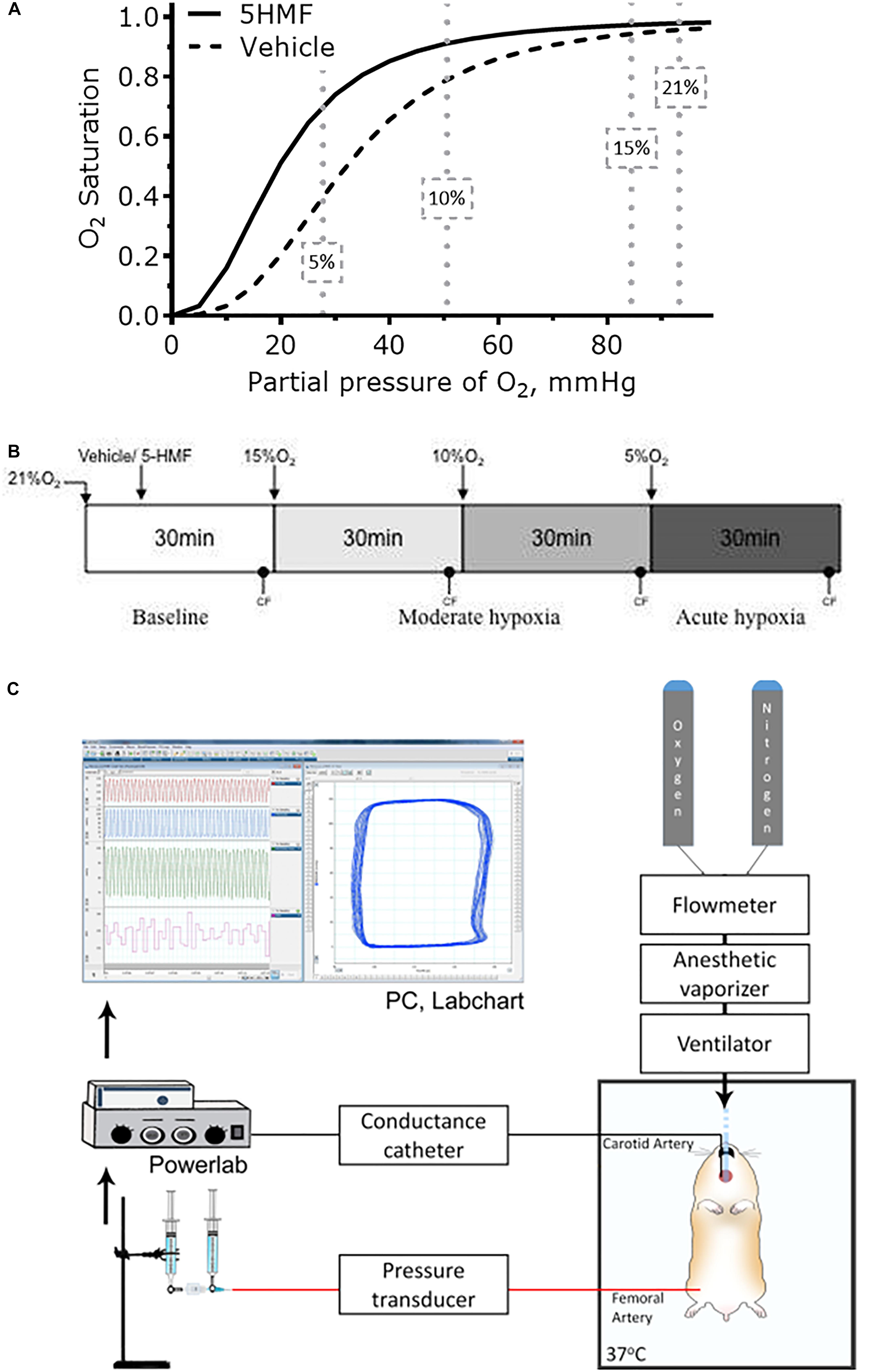 Frontiers | Increased Hemoglobin Oxygen Affinity With 5 ...