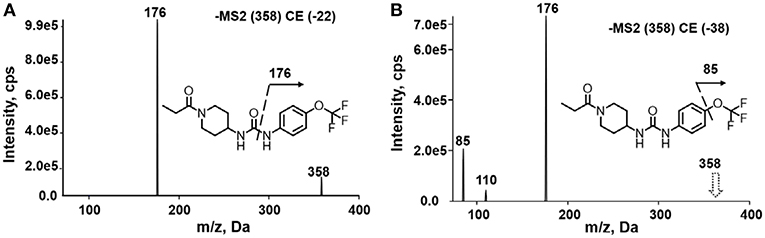 Phenyl acetate, Endogenous Metabolite