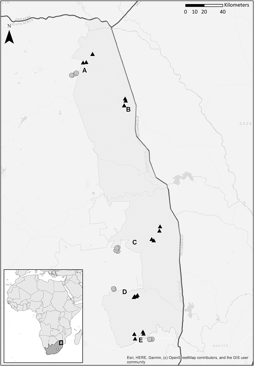 www.frontiersin.org