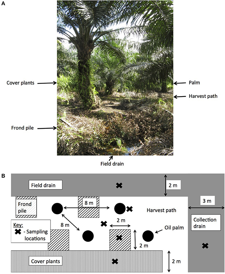 Why Peat Harvest Is Heavily Dependent on Weather - Greenhouse Grower