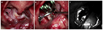 www.frontiersin.org