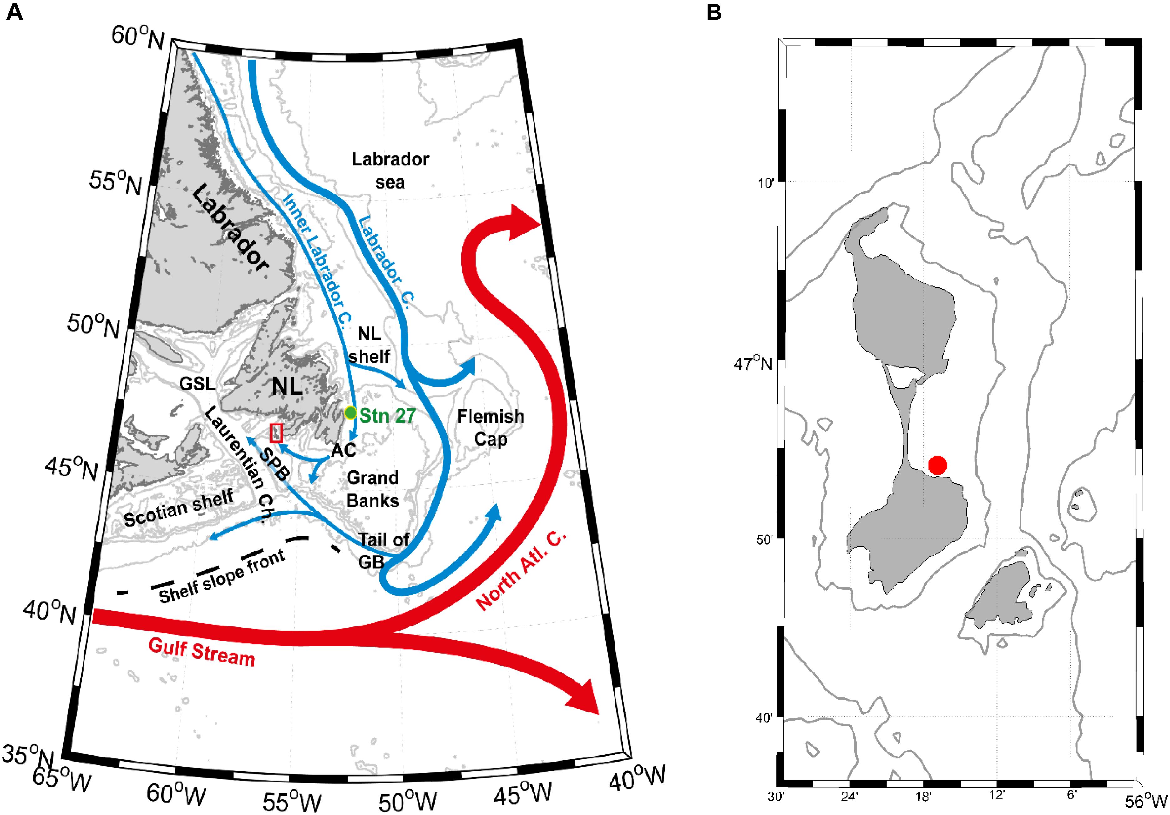 Frontiers  Growth Response of Arctica Islandica to North Atlantic  Oceanographic Conditions Since 1850