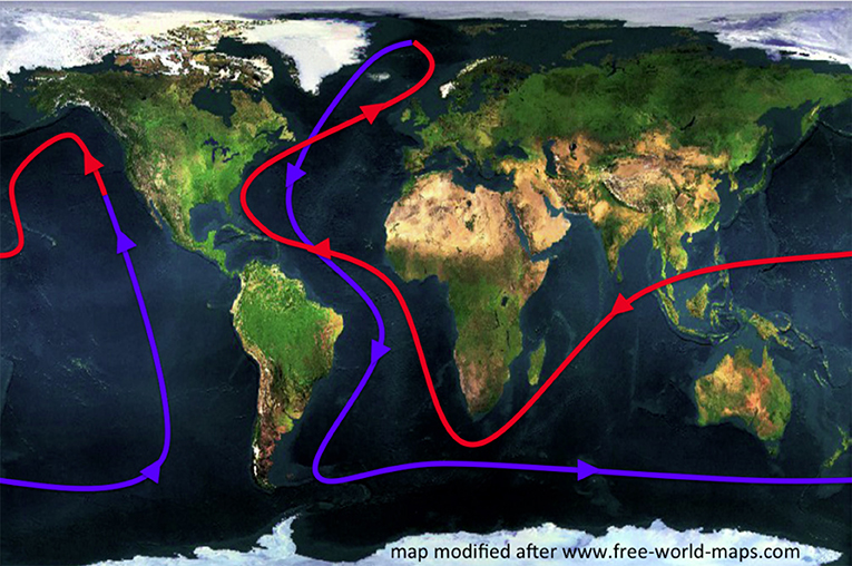 Figure 1 - The global conveyor belt.