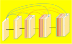 www.frontiersin.org