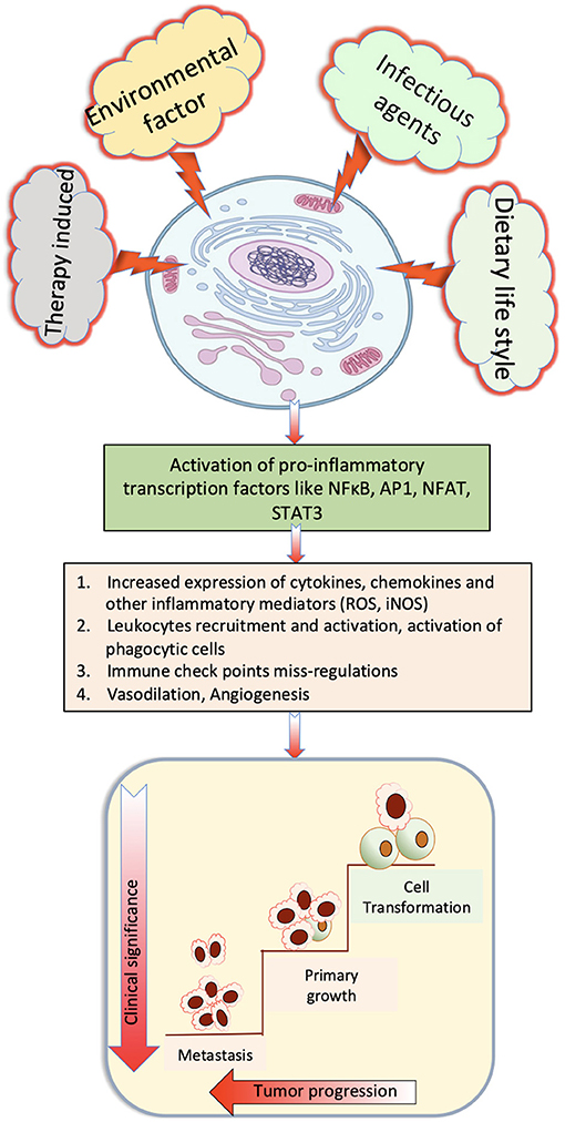 helminthic therapy fatigue)