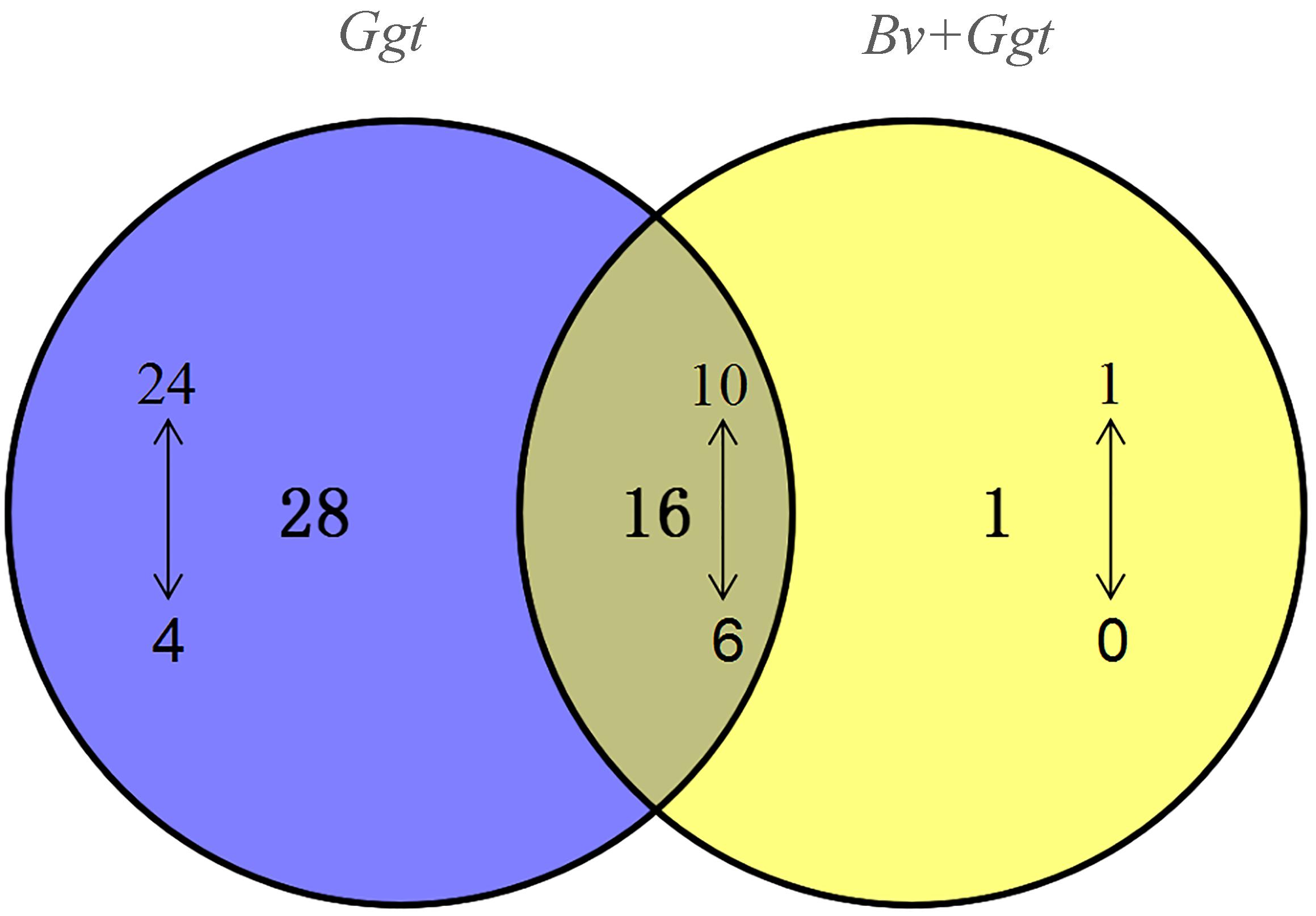 Frontiers | Comparative Transcriptome Profiling of Gaeumannomyces ...