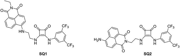 Frontiers Squaramide Naphthalimide Conjugates As Turn On