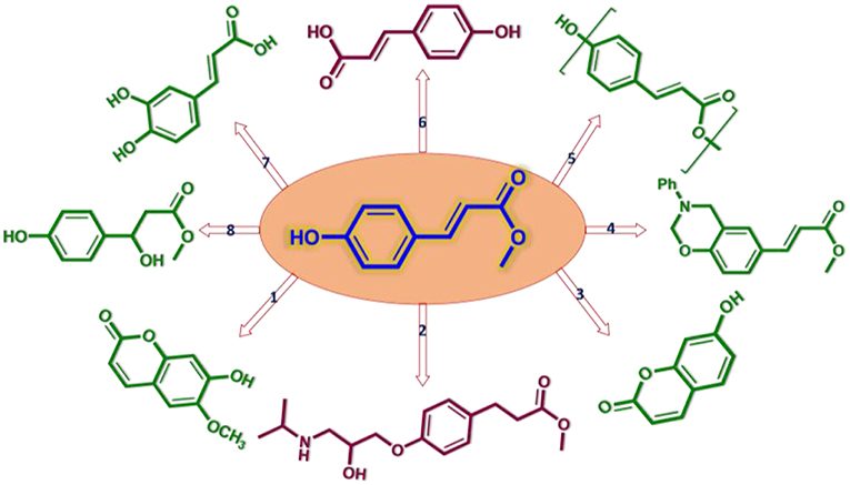 Kinetic and mechanistic insights into hydrogenolysis of lignin to