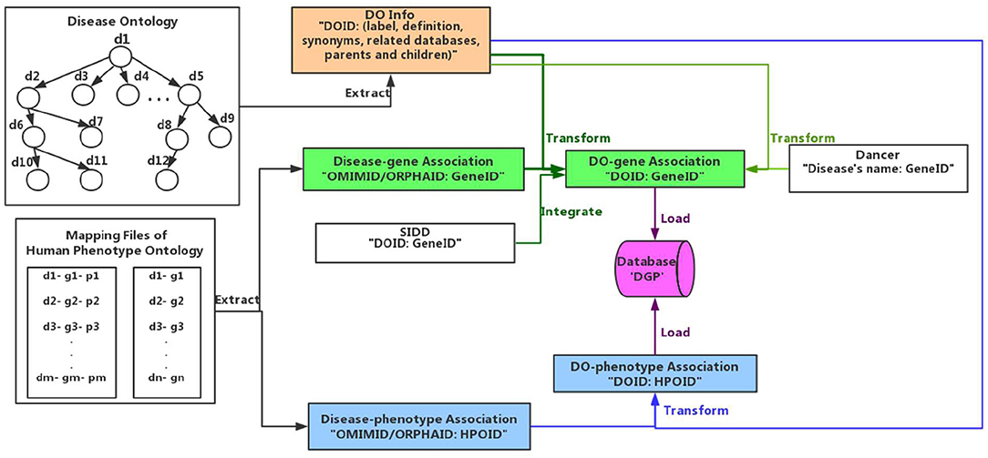 Survey Of Common Genetic Disorders Ap Biology Chart Answers