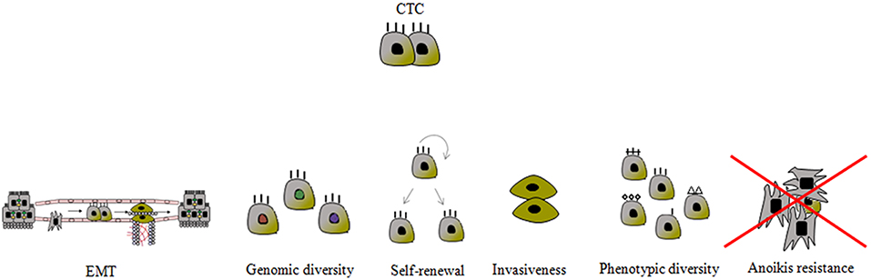 www.frontiersin.org