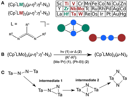 Frontiers Steric Switching From Photochemical To Thermal N2 Splitting A Computational Analysis Of The Isomerization Reaction Cp Am Mo 2 M H1 H1 N2 Cp Am Mo 2 M N 2 Chemistry