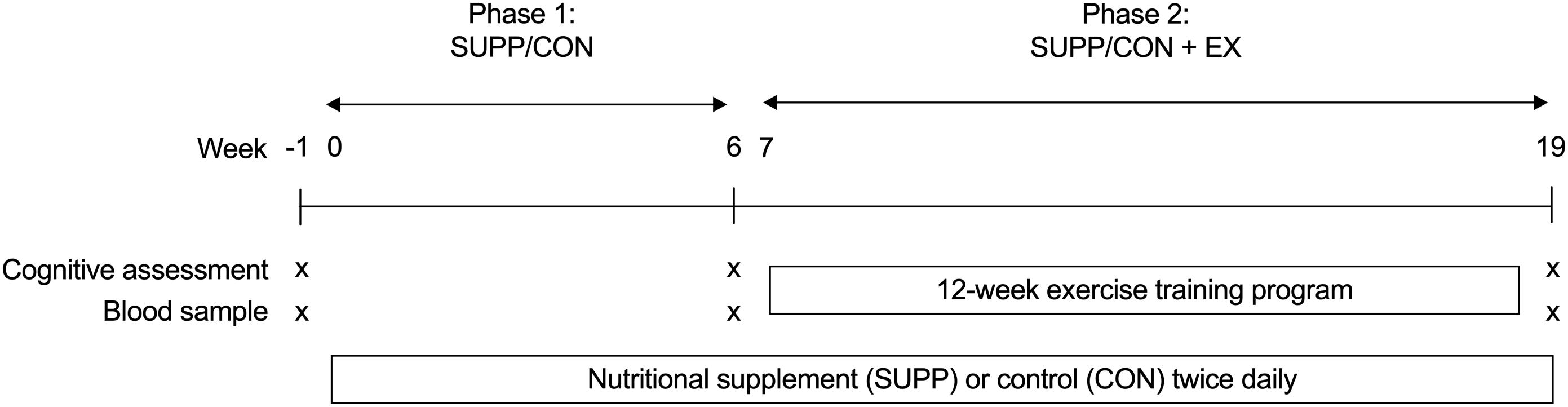 Frontiers | A Multi-Ingredient Nutritional Supplement in Combination ...