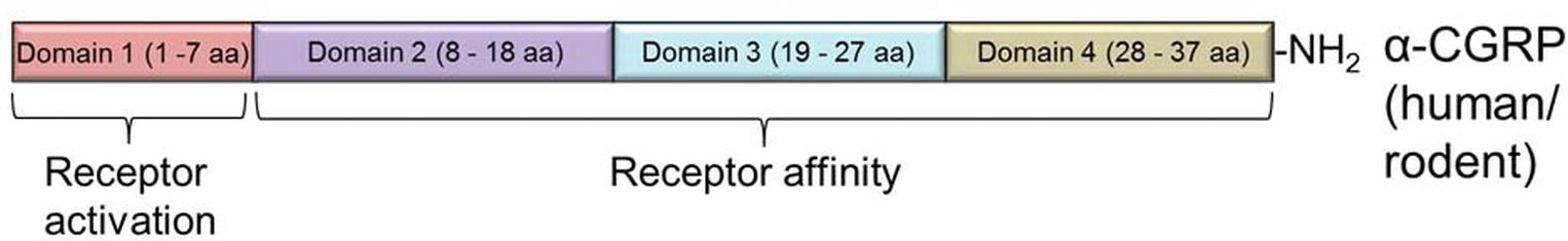 www.frontiersin.org