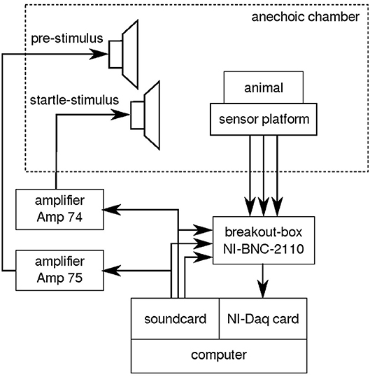 Acoustic reflex thresholds for pure tone stimuli (solid line) versus