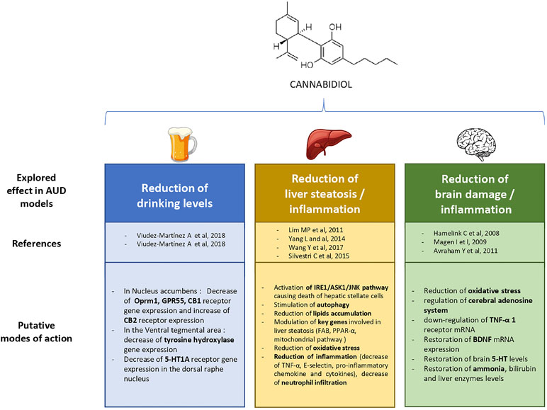 Rick Simpson Oil Dosage Chart