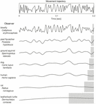 Frontiers | A Mechanism of Synaptic Clock Underlying Subjective Time ...