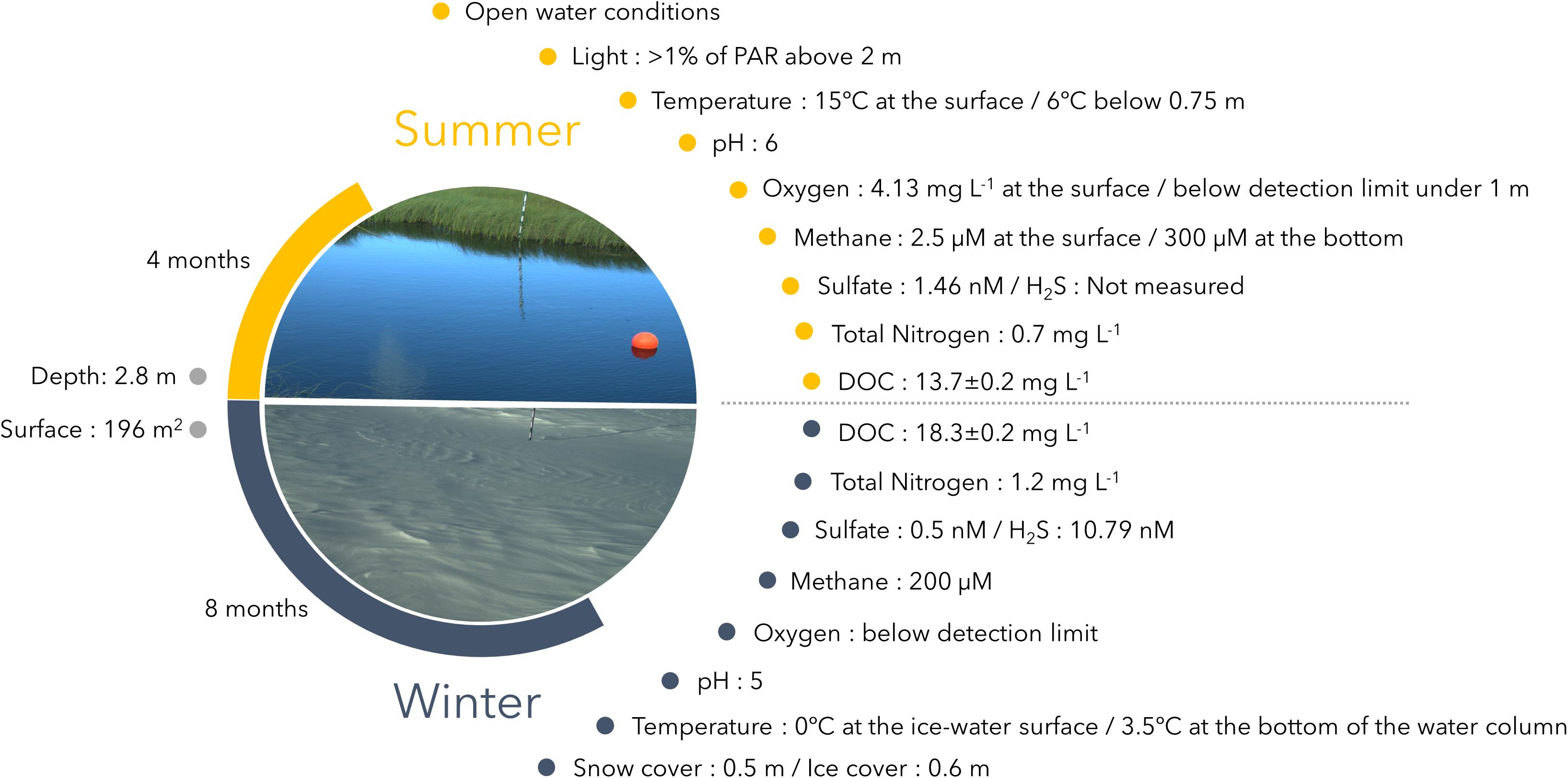 Decreasing snow cover causes increasing methane production in frozen lakes