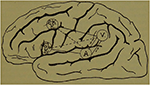 www.frontiersin.org