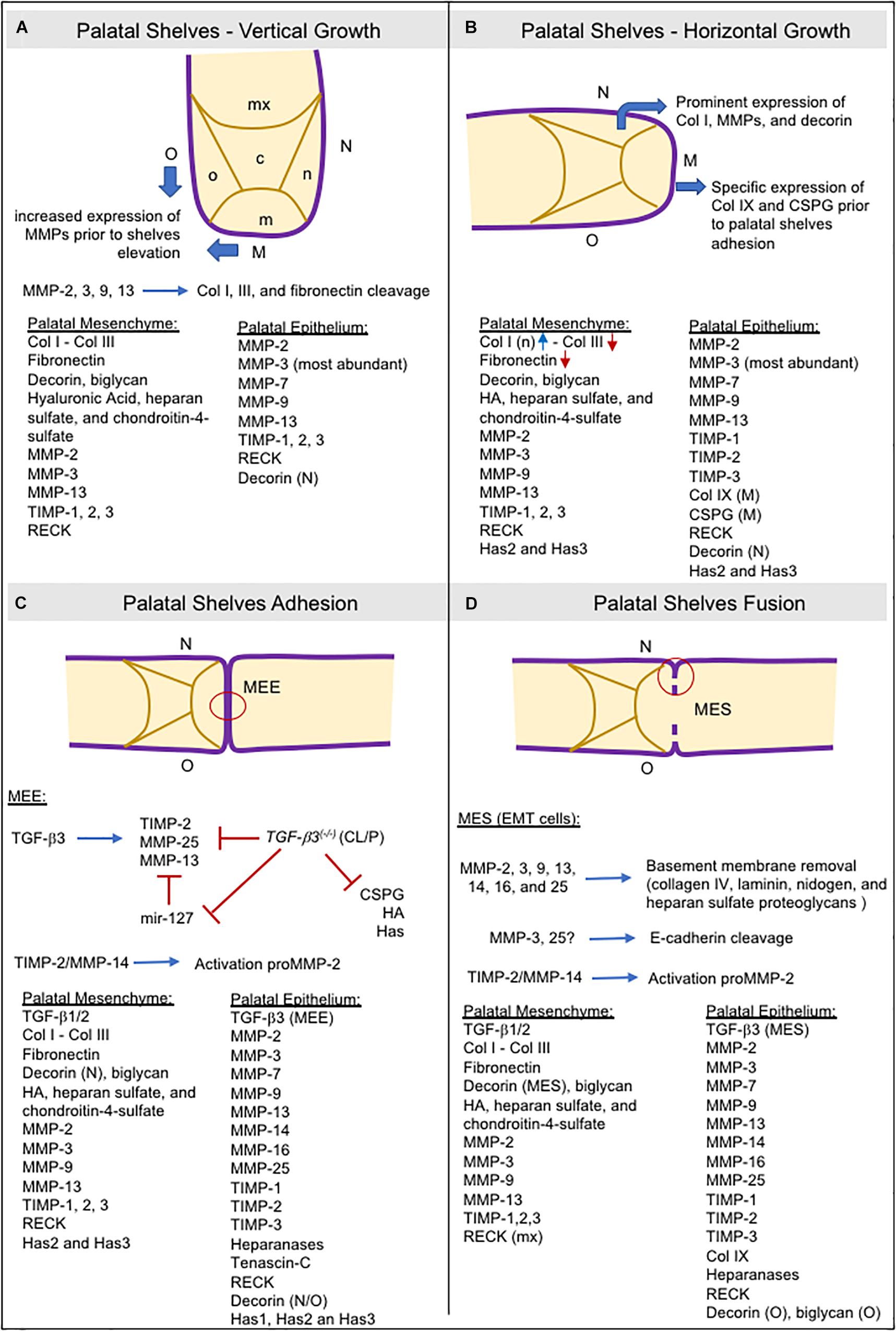 Balance de précision EW-N/EG-N - MAF METROLOGIE