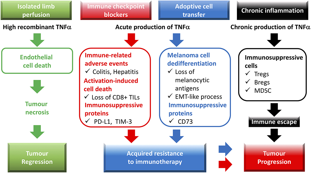 Frontiers | The TNF Paradox in Cancer Progression and Immunotherapy