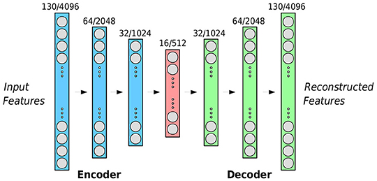 Frontiers Synchronization In Interpersonal Speech Robotics And Ai