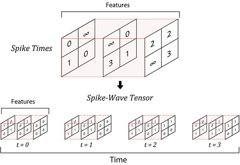 Python spiking neural network sales tutorial