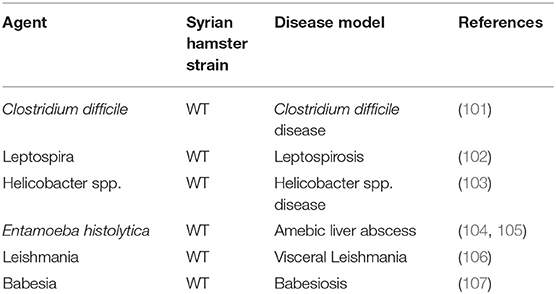 Frontiers  Syrian hamster as an ideal animal model for evaluation of  cancer immunotherapy