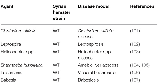 Frontiers Syrian hamster as an ideal animal model for evaluation of cancer immunotherapy