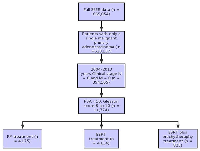 adenocarcinoma prostate gleason score 33 6 treatment)