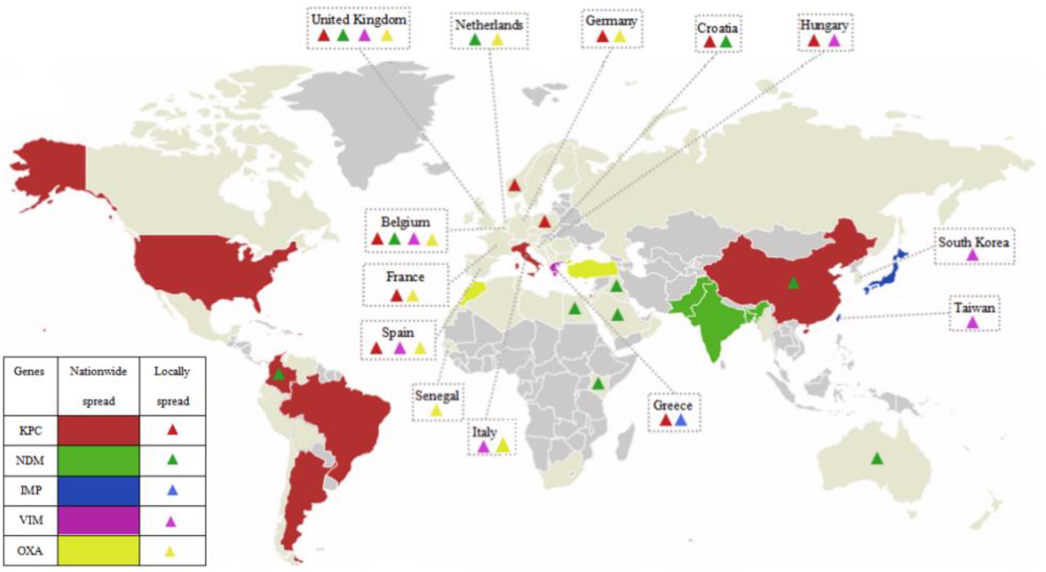 Frontiers Carbapenemases In Enterobacteriaceae Detection And Antimicrobial Therapy Microbiology