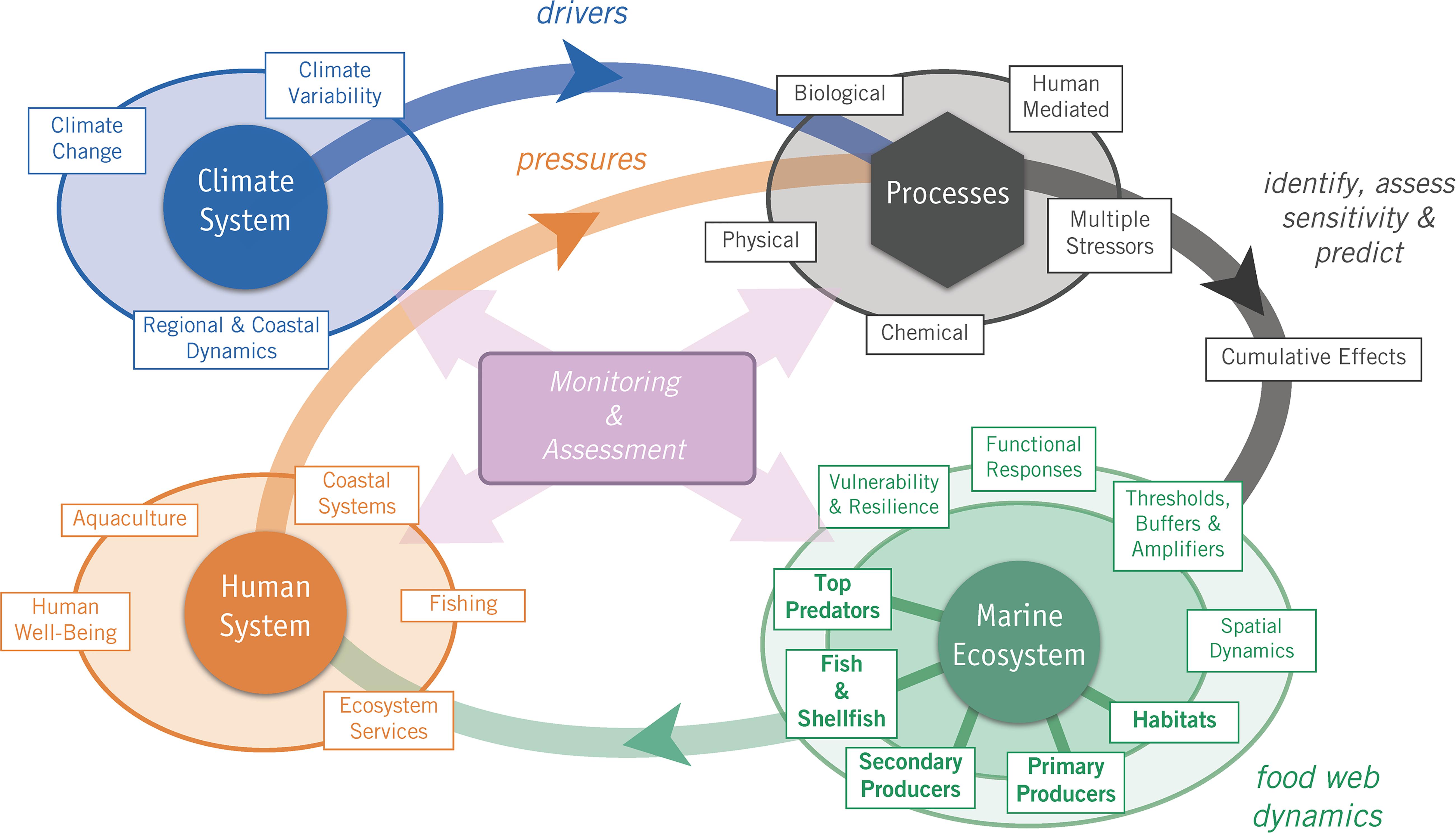 Frontiers | Developing a Social–Ecological–Environmental System