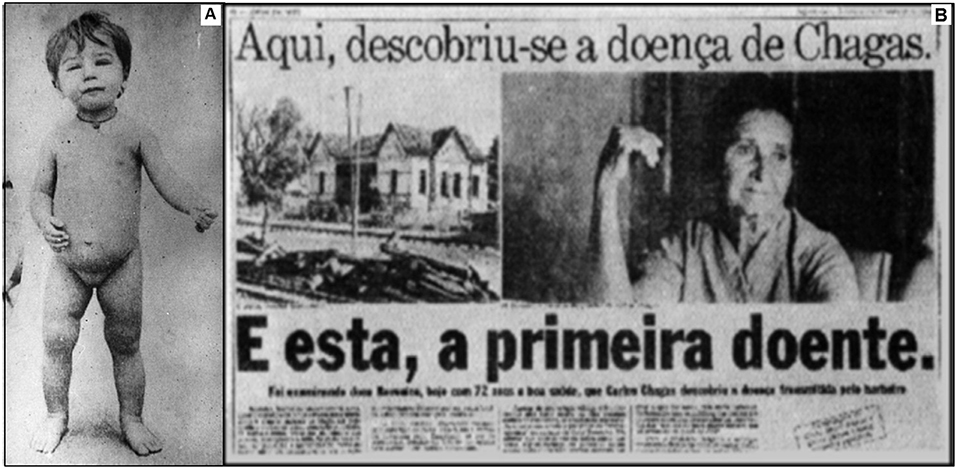 www.frontiersin.org