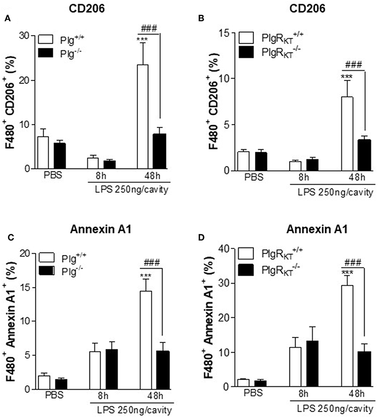 Frontiers Plasminogen And The Plasminogen Receptor Plg Rkt Regulate Macrophage Phenotypic And Functional Changes Immunology